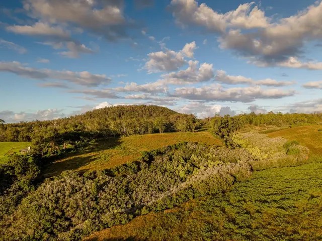 Listing Image for 93 Piiholo Rd A 34 of 39