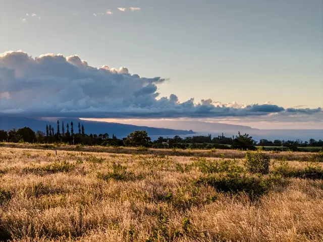 Listing Image for 93 Piiholo Rd A 35 of 39