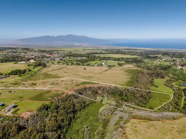 Listing Image for 93 Piiholo Rd A 4 of 39