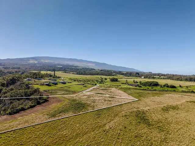 Listing Image for 93 Piiholo Rd A 5 of 39