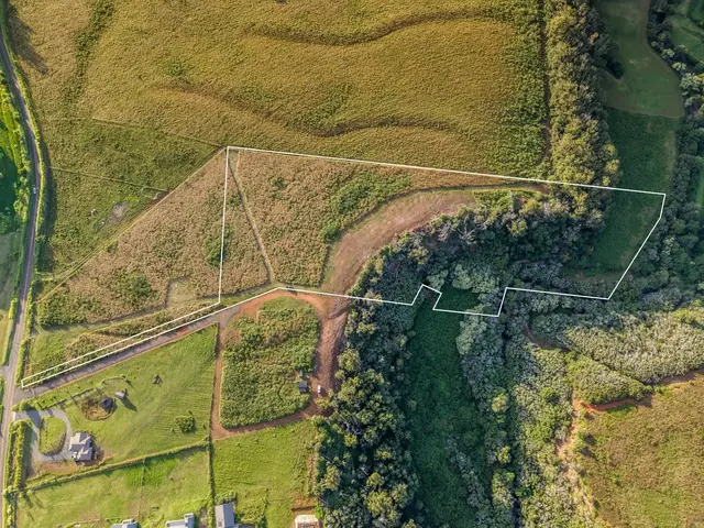 Listing Image for 93 Piiholo Rd A 6 of 39