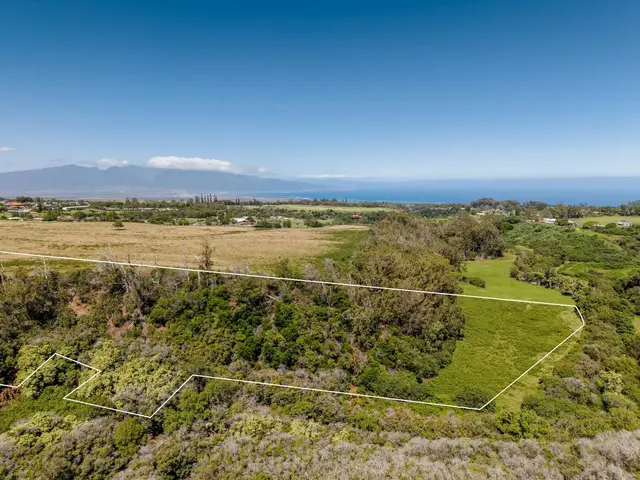 Listing Image for 93 Piiholo Rd A 7 of 39