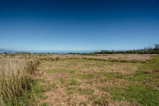 Listing Image for 93 Piiholo Rd A 8 of 39