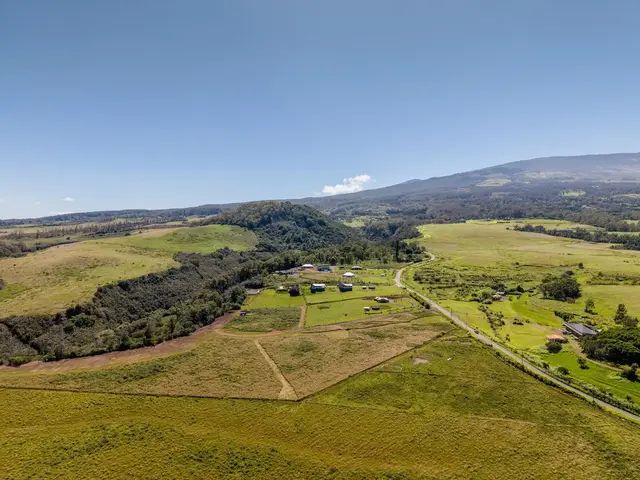 Listing Image for 93 Piiholo Rd A 9 of 39