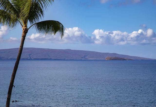 Listing Image for 4850 Makena Alanui Rd F-207 29 of 34