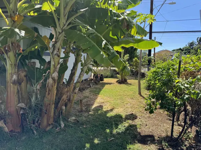 Listing Image for 6 Pano Pl 19 of 20