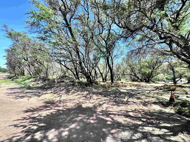 Listing Image for 0 Kamehameha V Hwy 11 of 22