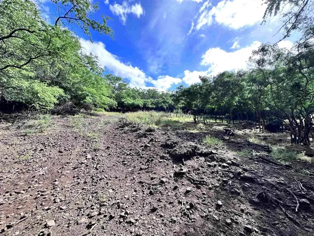 Listing Image for 0 Kamehameha V Hwy 12 of 22