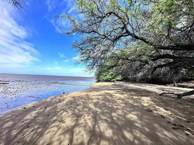 Listing Image for 0 Kamehameha V Hwy 15 of 22