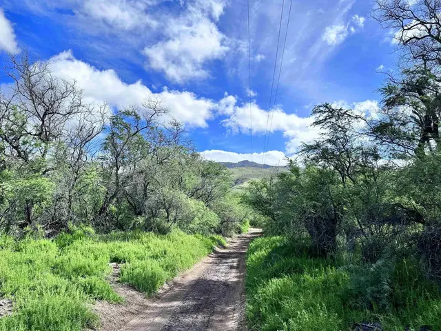 Listing Image for 0 Kamehameha V Hwy 5 of 22