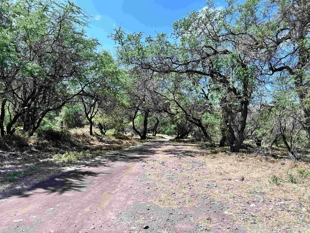 Listing Image for 0 Kamehameha V Hwy 8 of 22