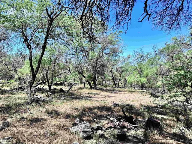 Listing Image for 0 Kamehameha V Hwy 9 of 22