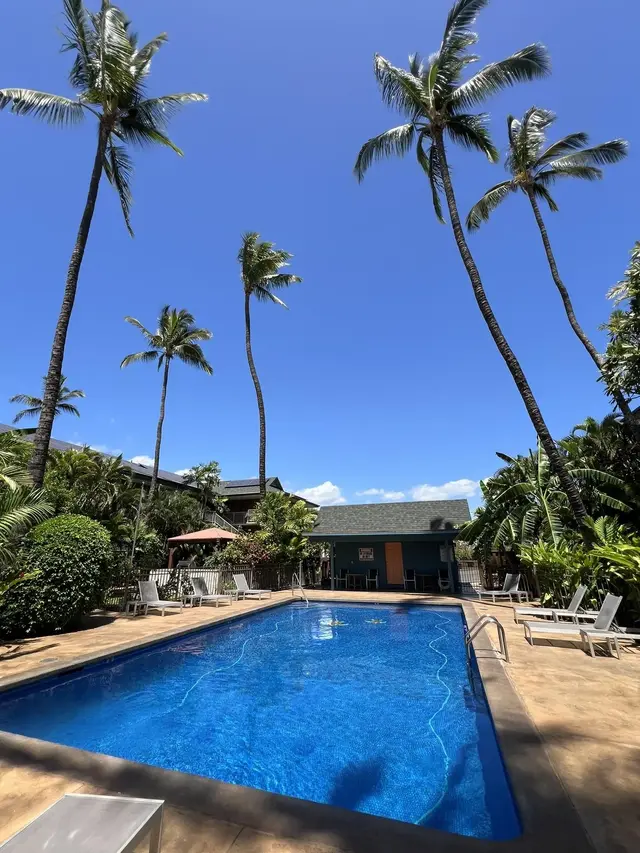 Listing Image for 35 Walaka St L-305 38 of 50