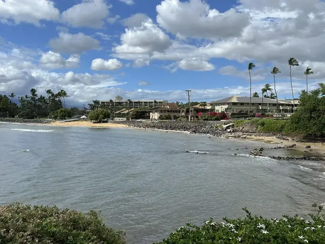 Listing Image for 35 Walaka St L-305 48 of 50
