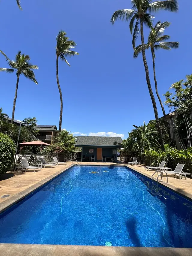 Listing Image for 35 Walaka St L-305 6 of 50