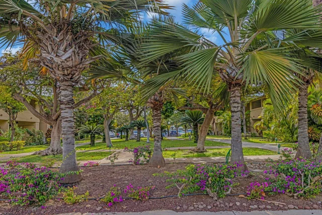 Listing Image for 1450 S Kihei Rd C-204 24 of 35