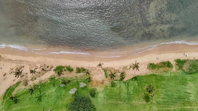 Listing Image for 6 E Waipuilani Rd 42 of 45