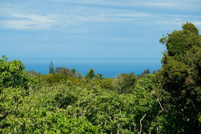 Listing Image for 22 Ohaoha Pl 16 of 31