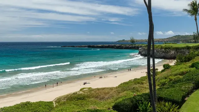 Listing Image for 7 Kapalua Pl 26 of 38