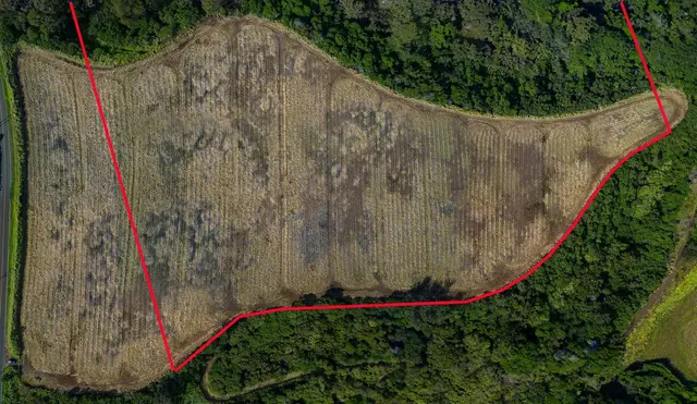 Listing Image for 0 Haliimaile Rd 8 of 8