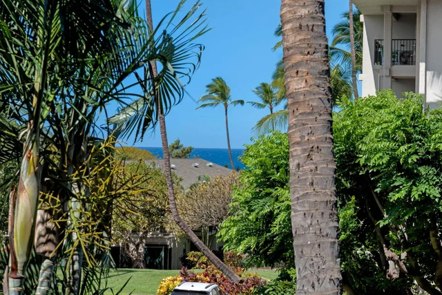 Listing Image for 2531 S Kihei Rd D107 3 of 31