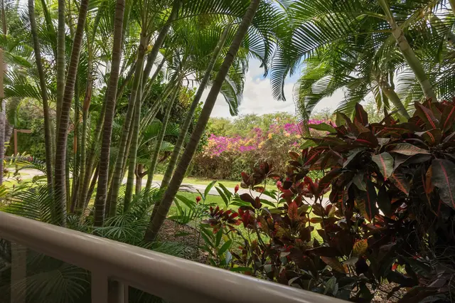 Listing Image for 2575 S Kihei Rd P107 24 of 31