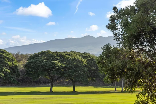 Listing Image for 155 Wailea Ike Pl 104 7 of 36