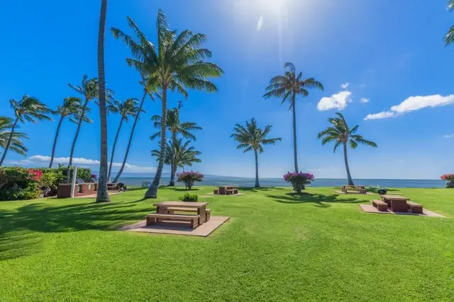Listing Image for 1000 Kamehameha V Hwy A203 13 of 16