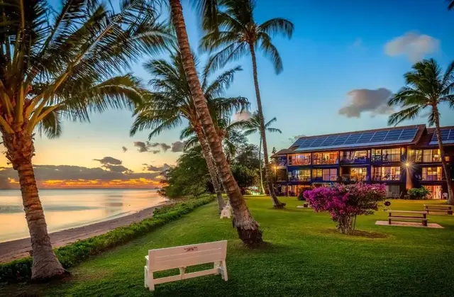 Listing Image for 1000 Kamehameha V Hwy A203 14 of 16