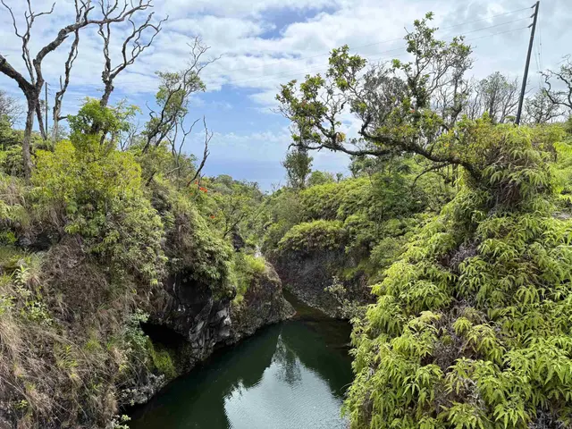 Listing Image for 0 Hana Hwy 1 of 3