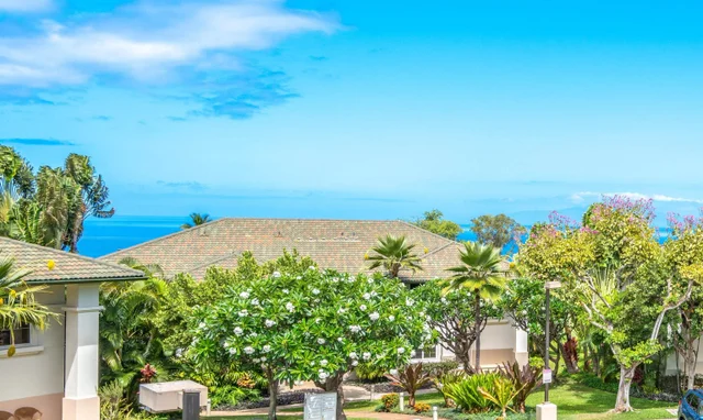 Listing Image for 3950 Kalai Waa St A201 4 of 35