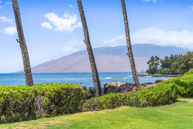 Listing Image for 2128 Iliili Rd 8 of 49