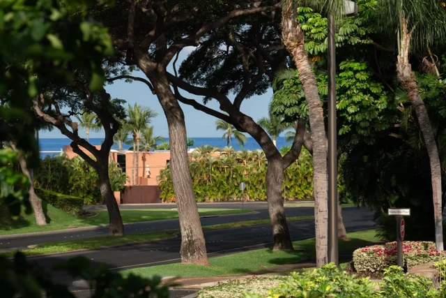 Listing Image for 8 Manu Ihu Pl 49 of 50