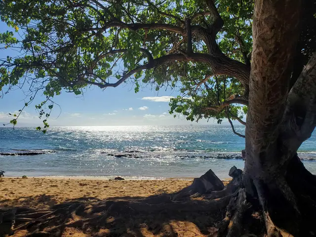 Listing Image for 3660 Lower Honoapiilani Rd 411 20 of 22