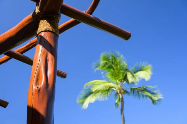 Listing Image for 19 Malukai Ln 4 37 of 45