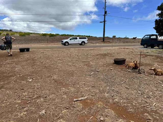 Listing Image for Maunaloa Rd 4 of 8