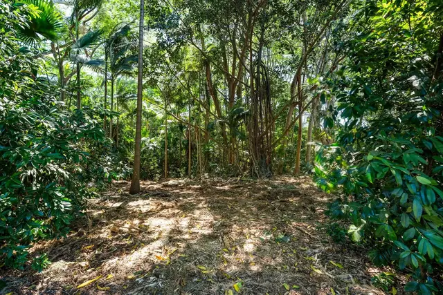 Listing Image for 0 Hana Hwy 16 of 35