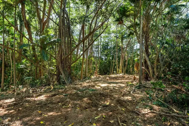 Listing Image for 0 Hana Hwy 17 of 35