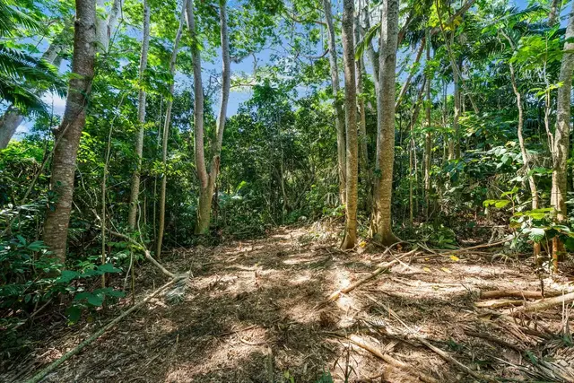 Listing Image for 0 Hana Hwy 18 of 35