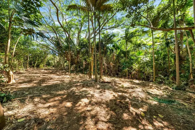 Listing Image for 0 Hana Hwy 19 of 35