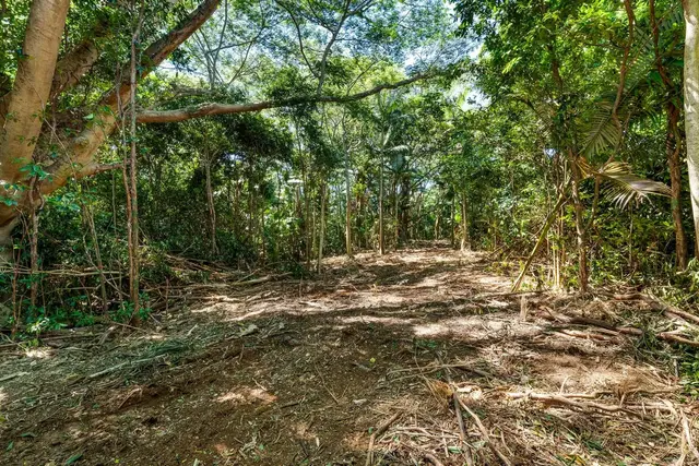 Listing Image for 0 Hana Hwy 20 of 35