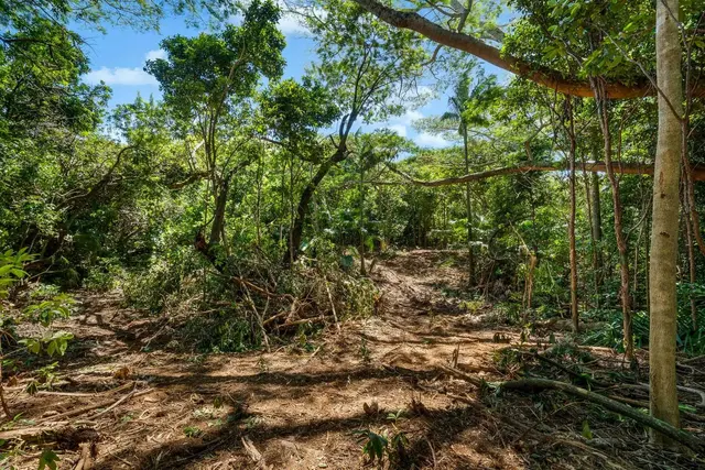 Listing Image for 0 Hana Hwy 21 of 35