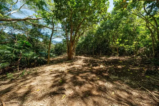 Listing Image for 0 Hana Hwy 22 of 35