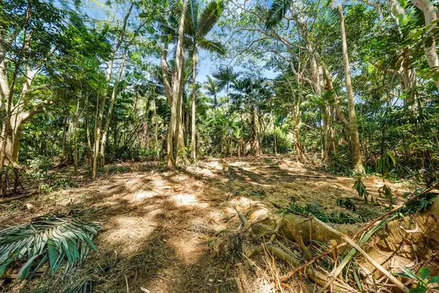 Listing Image for 0 Hana Hwy 4 of 35