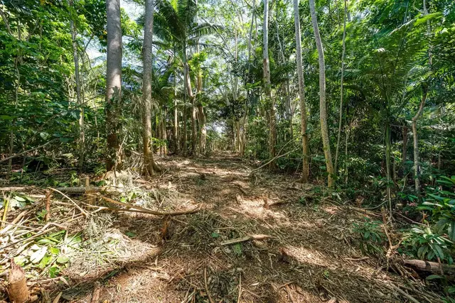 Listing Image for 0 Hana Hwy 5 of 35