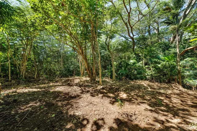 Listing Image for 0 Hana Hwy 6 of 35