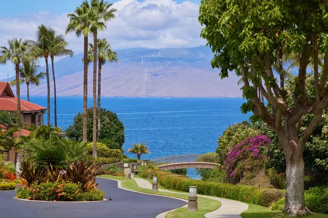 Listing Image for 4000 Wailea Alanui Dr 1104 45 of 50