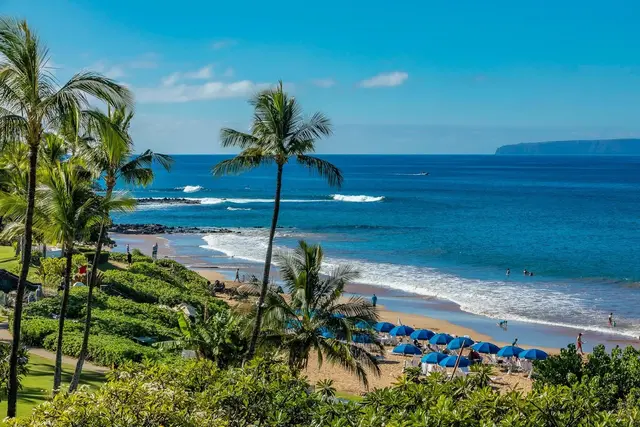 Listing Image for 4000 Wailea Alanui Dr 1104 49 of 50