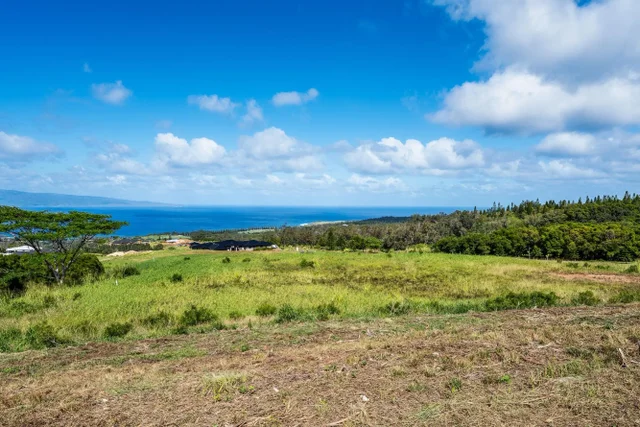 Listing Image for 830 Mahana Ridge Pl 50 21 of 33