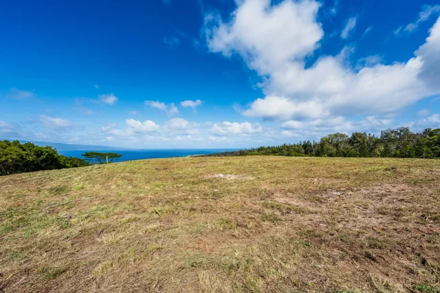 Listing Image for 830 Mahana Ridge Pl 50 22 of 33